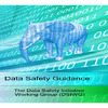dsiwg-doc_main_a4 20151222-173.pdf